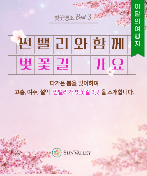<p>썬밸리 벚꽃길 여행 추천&nbsp;</p>
